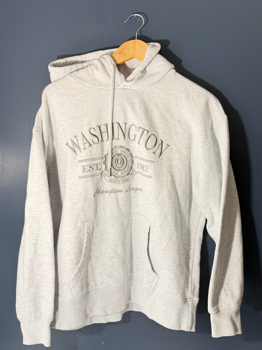 Garage Champion Light Gray Washington Graphic Hoodie